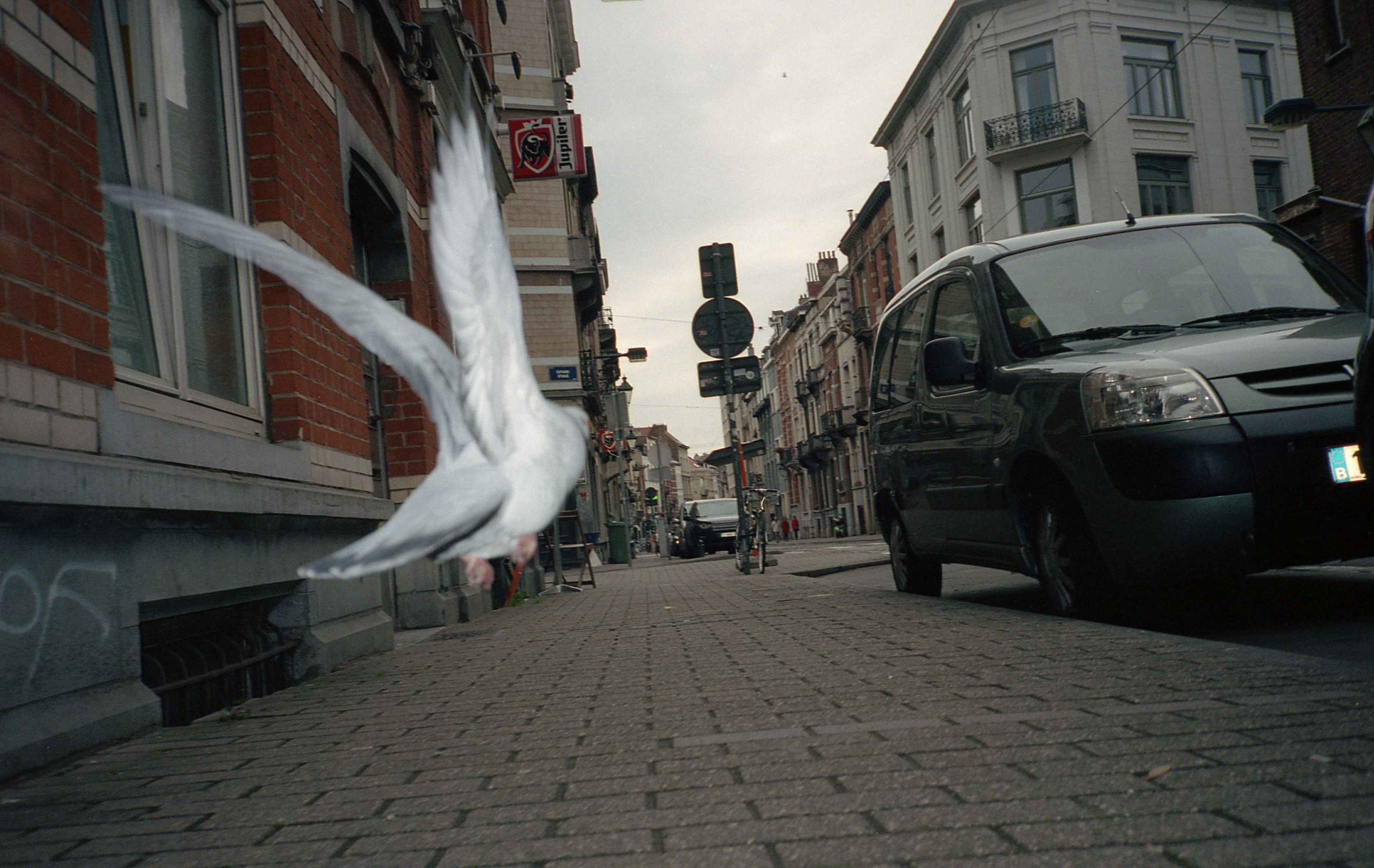 Silvrback blog image