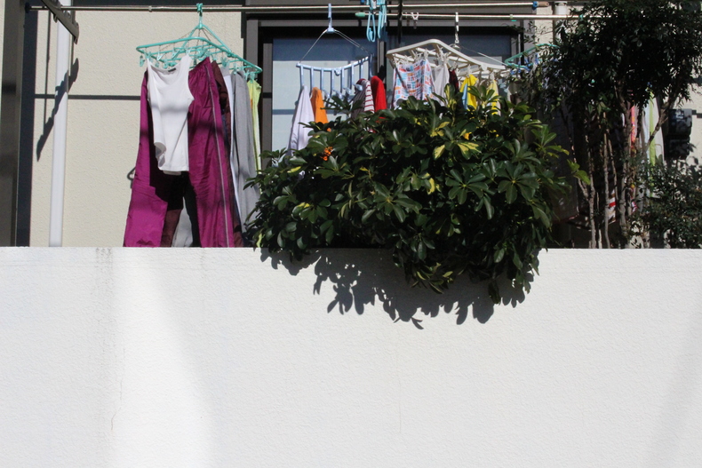 Silvrback blog image