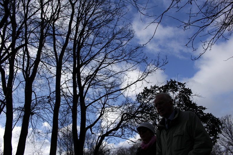 Silvrback blog image