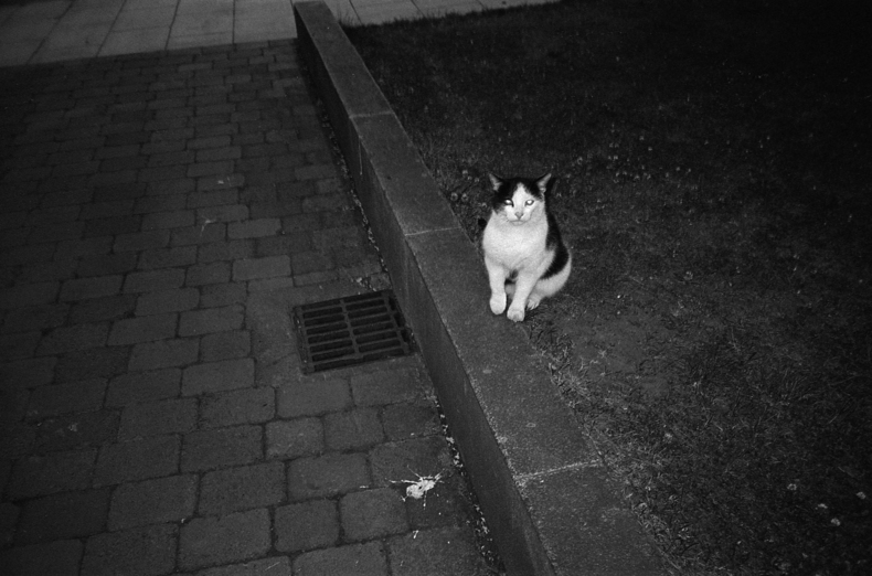 Silvrback blog image