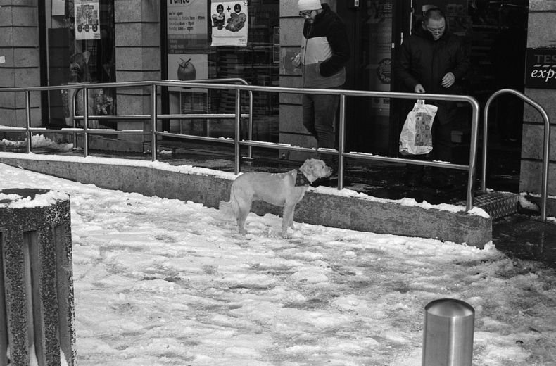 Silvrback blog image