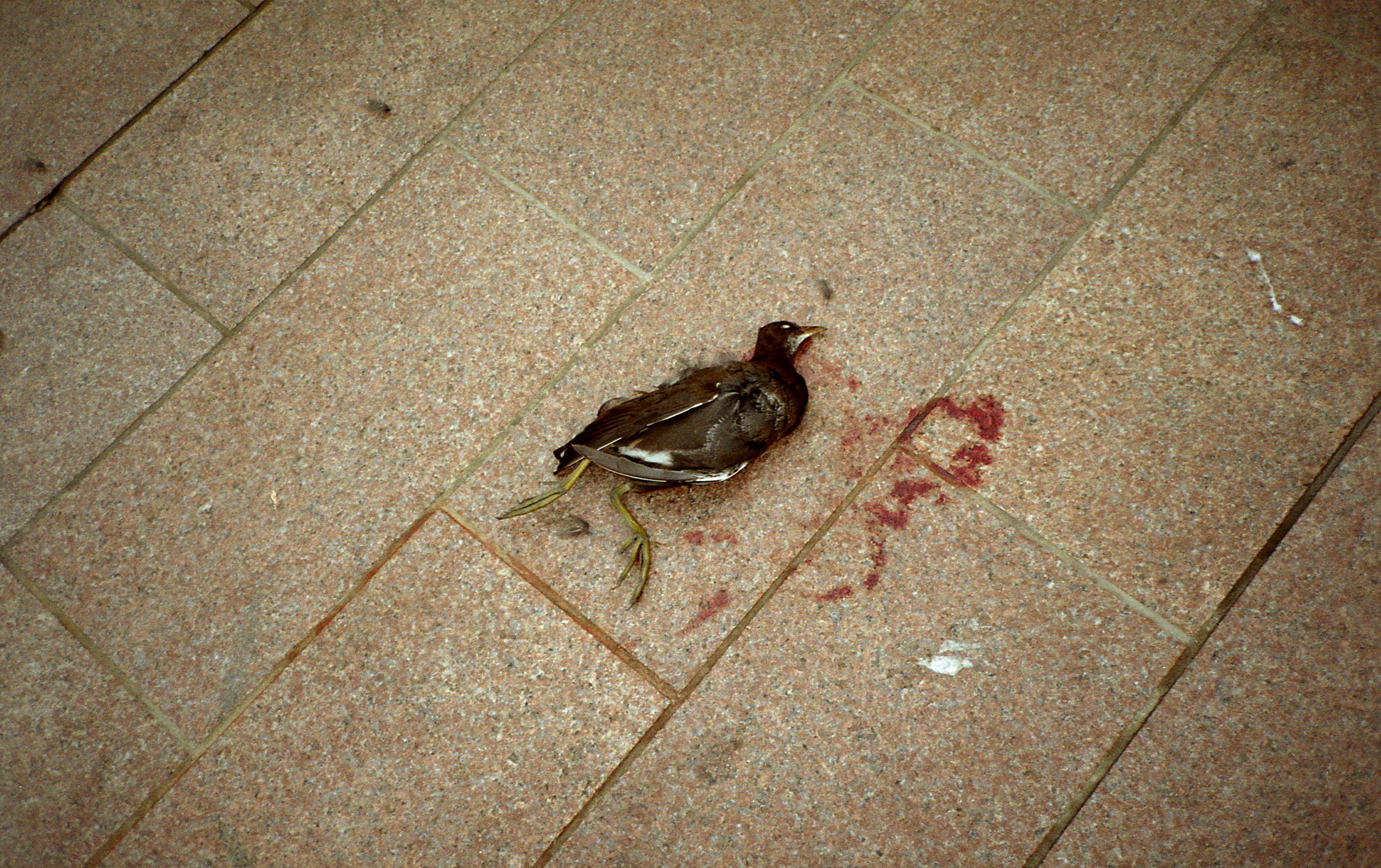 Silvrback blog image