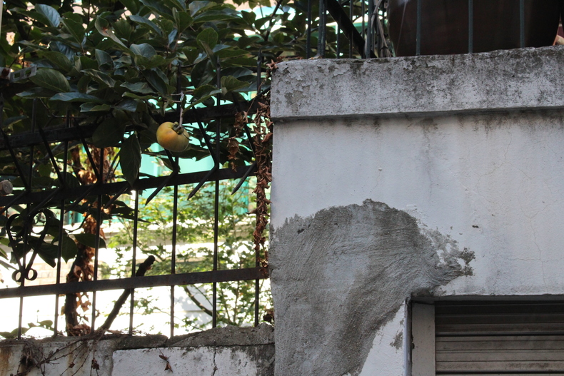 Silvrback blog image