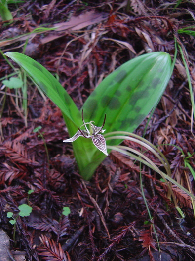 Silvrback blog image