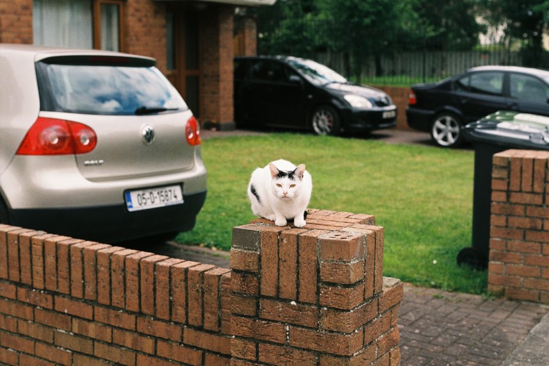 Silvrback blog image