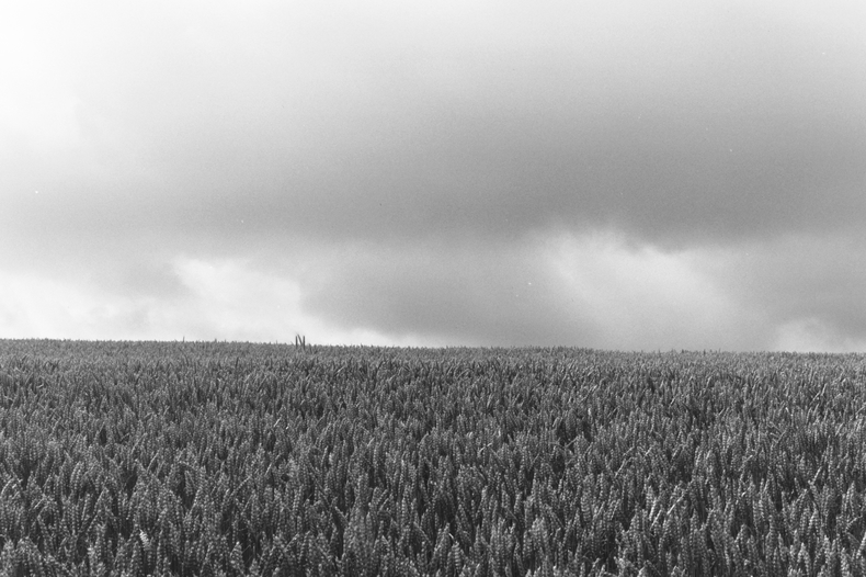 Silvrback blog image