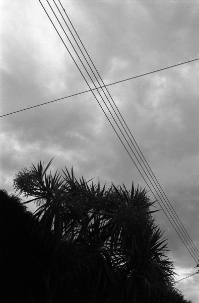 Silvrback blog image