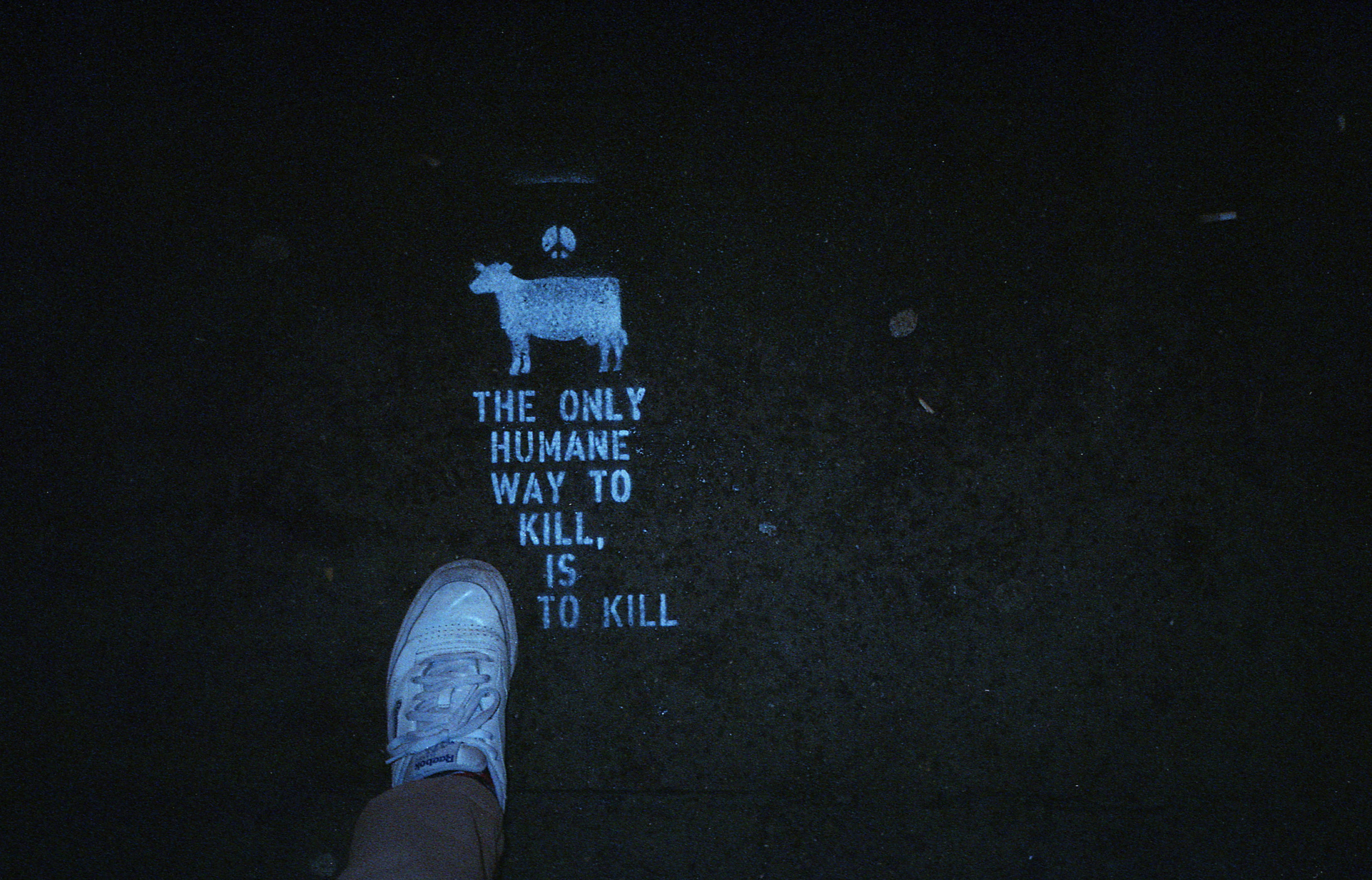 Silvrback blog image