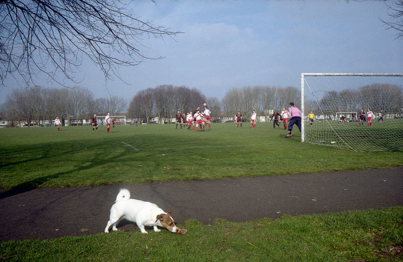 Silvrback blog image