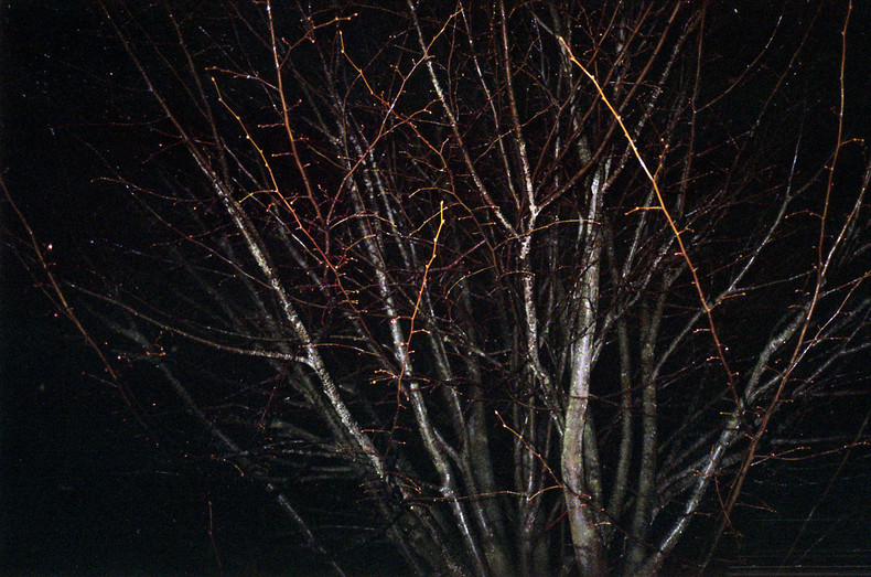 Silvrback blog image