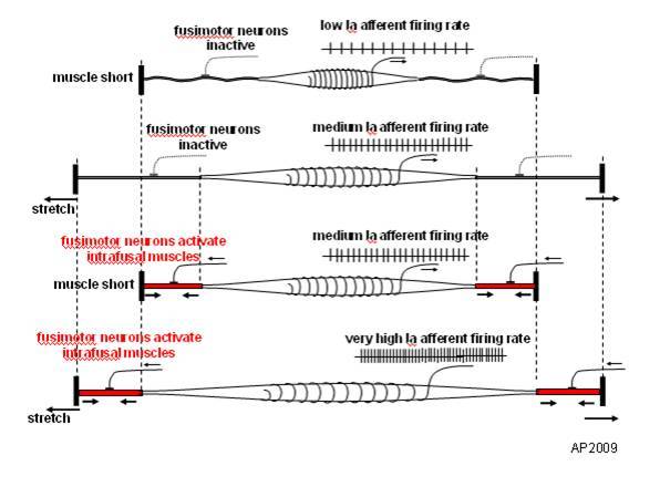 Silvrback blog image