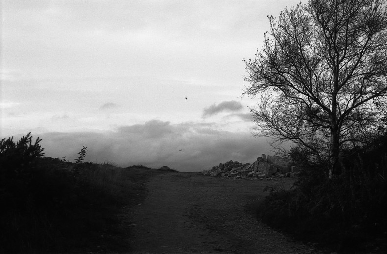 Silvrback blog image