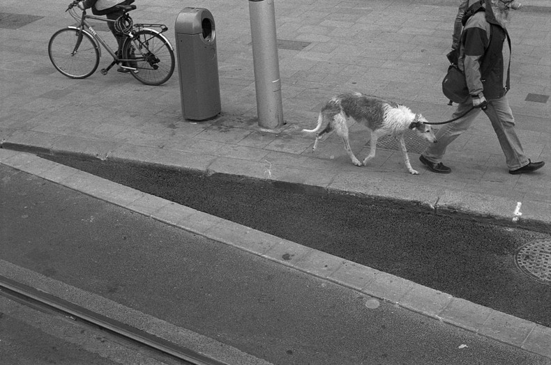 Silvrback blog image