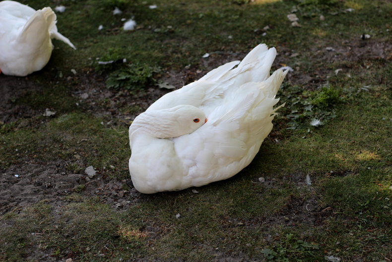 Silvrback blog image