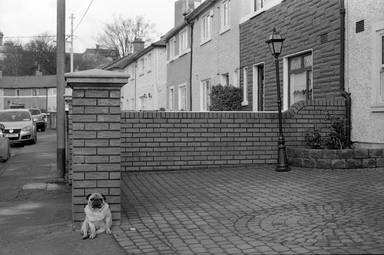 Silvrback blog image