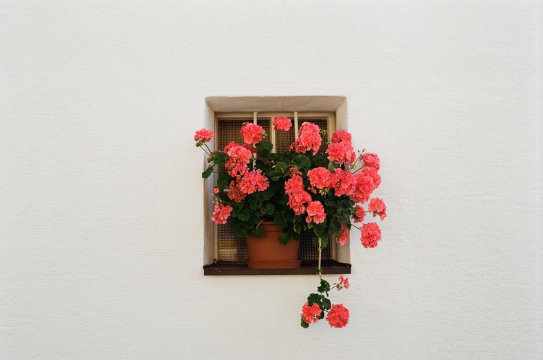 Silvrback blog image