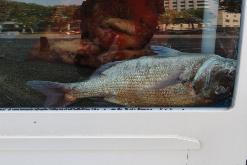 Silvrback blog image