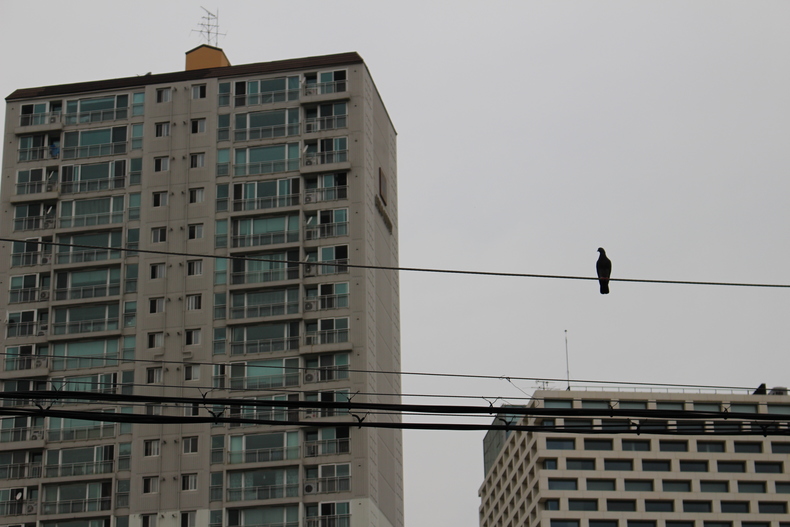 Silvrback blog image