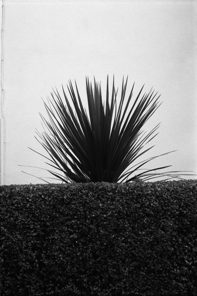 Silvrback blog image