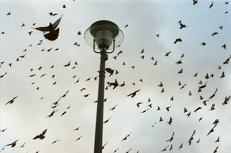 Silvrback blog image