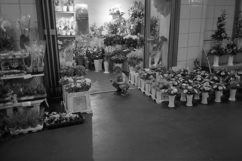 Silvrback blog image