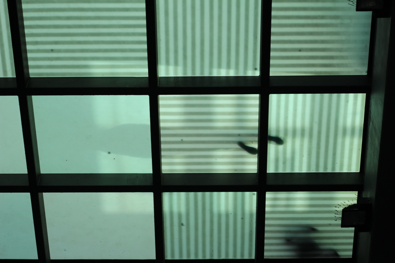 Silvrback blog image