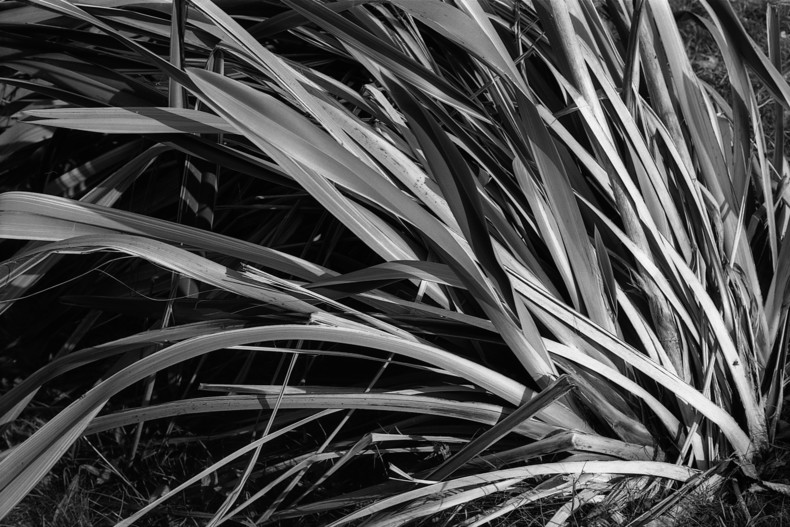 Silvrback blog image