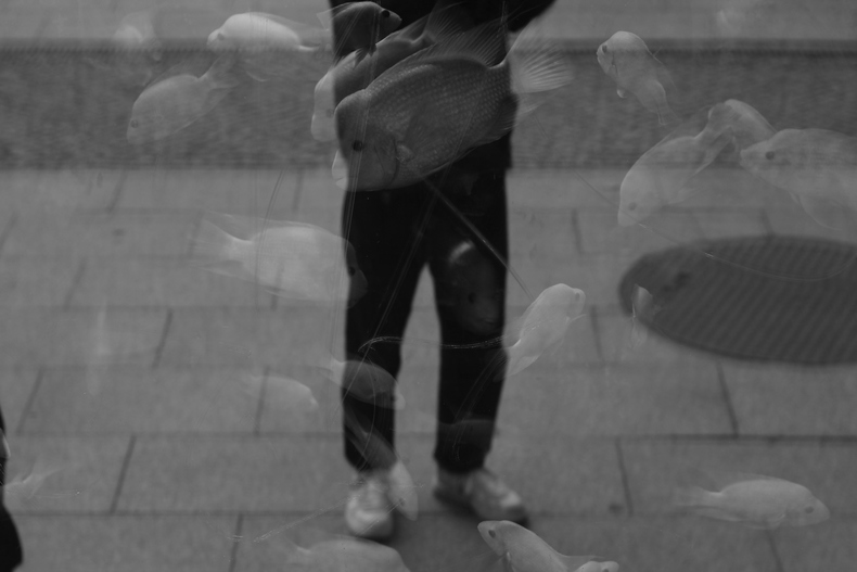 Silvrback blog image