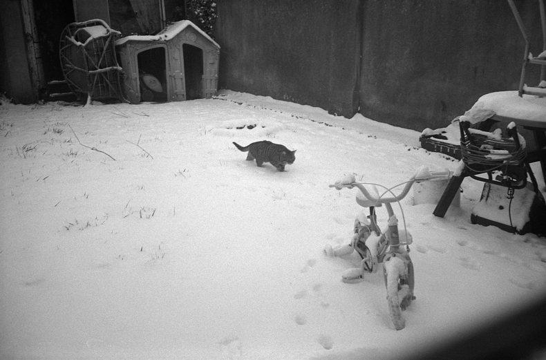 Silvrback blog image