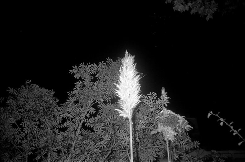 Silvrback blog image