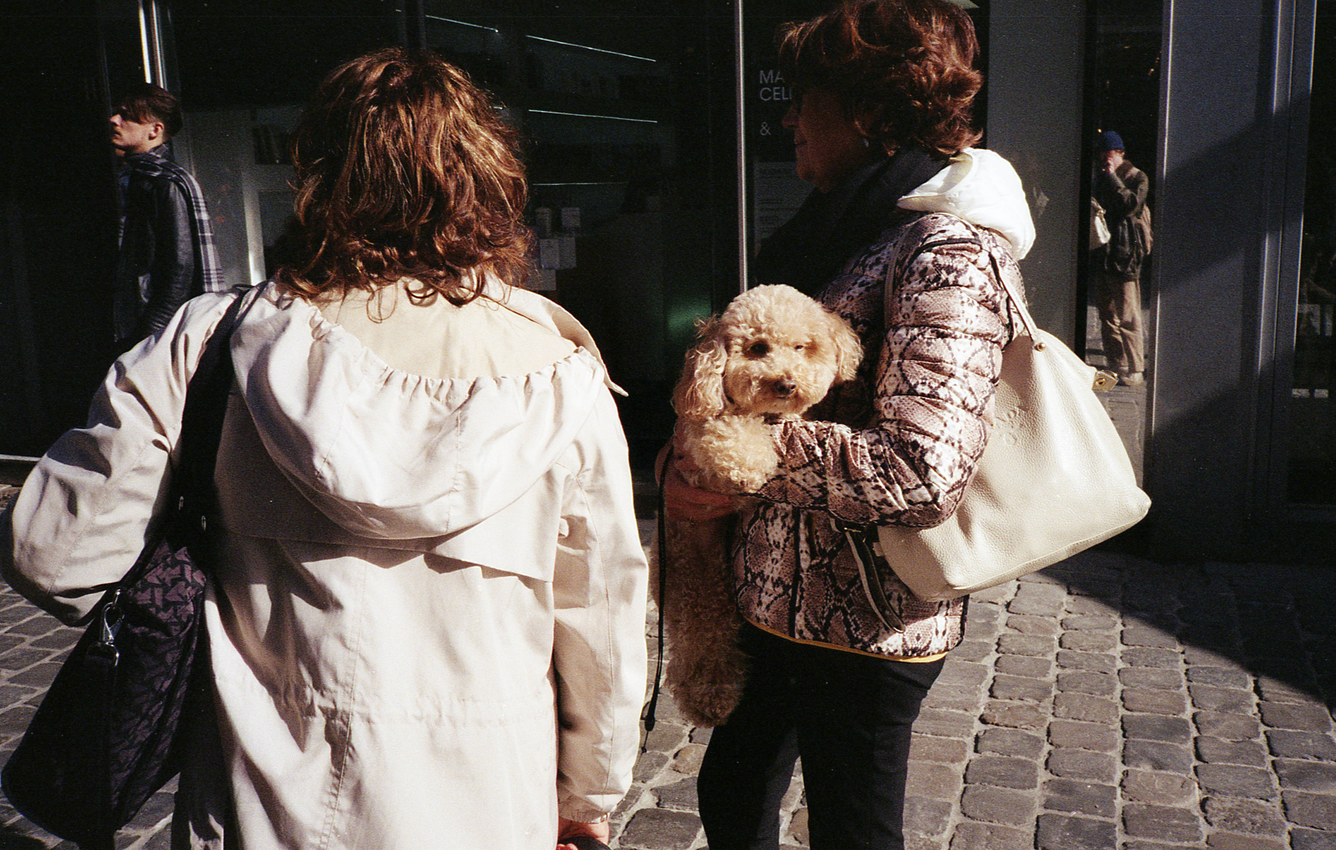 Silvrback blog image