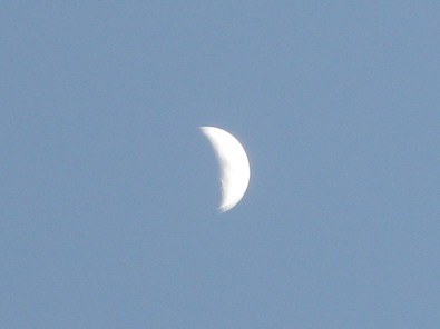 Silvrback blog image