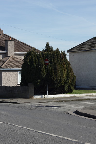 Silvrback blog image