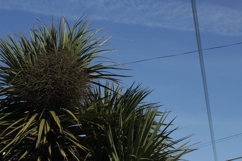 Silvrback blog image