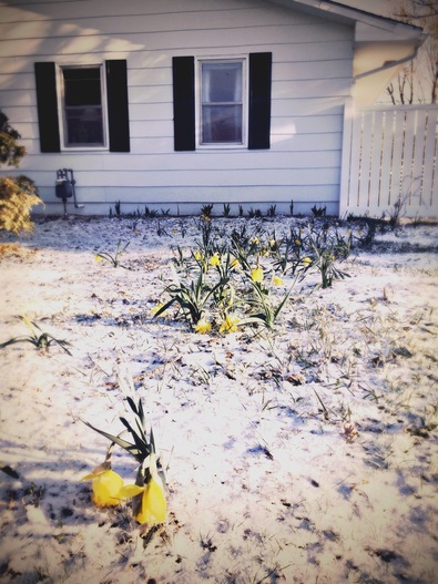 Silvrback blog image