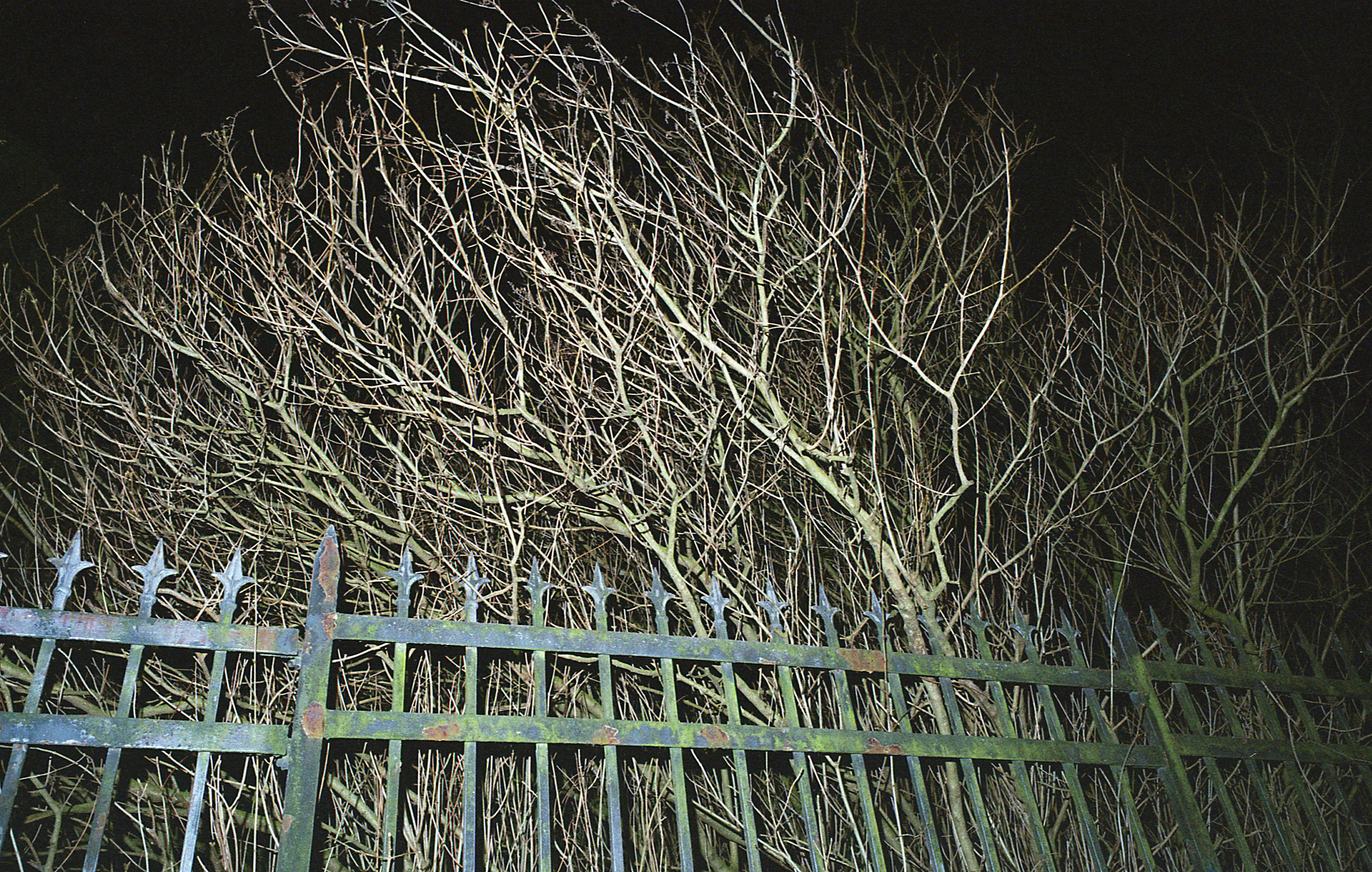 Silvrback blog image