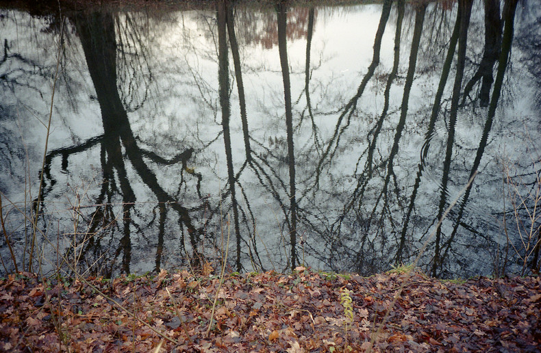 Silvrback blog image