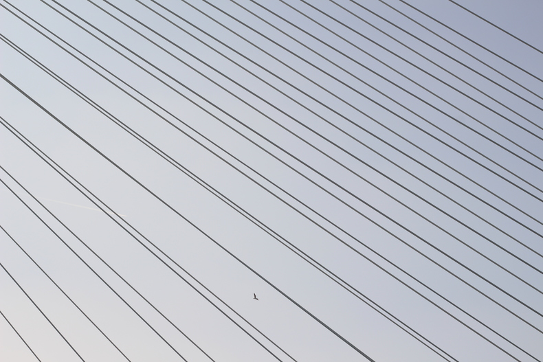 Silvrback blog image