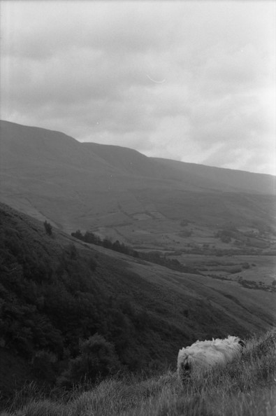 Silvrback blog image