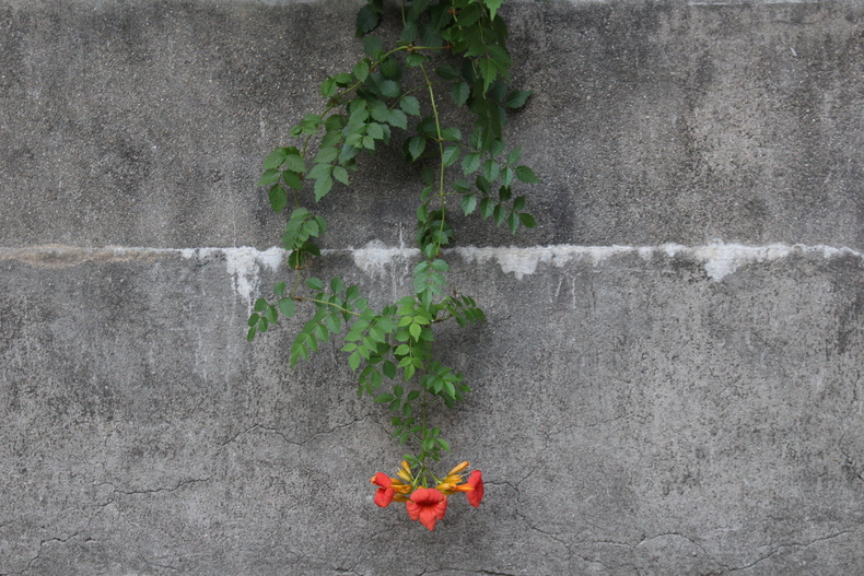 Silvrback blog image