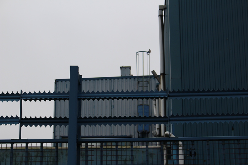 Silvrback blog image