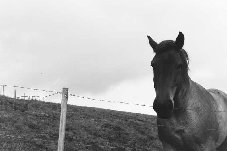 Silvrback blog image