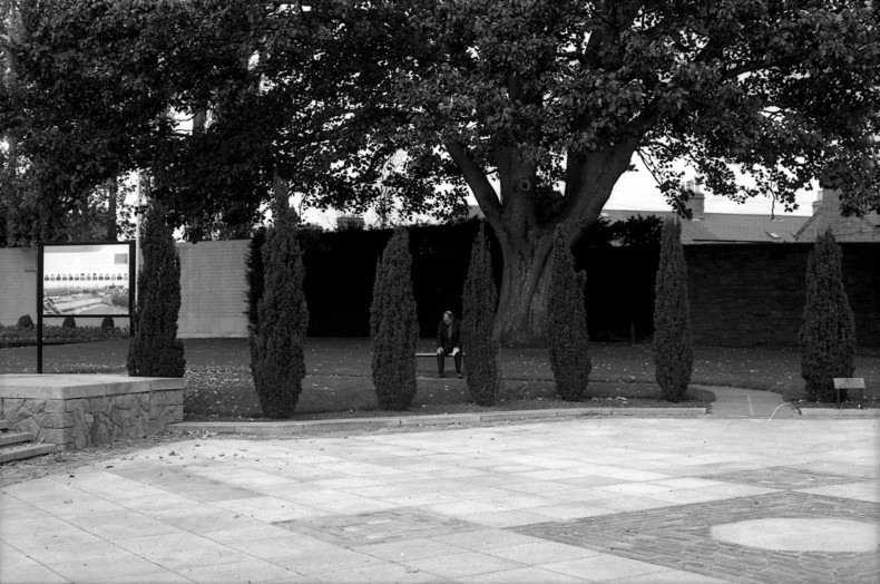 Silvrback blog image