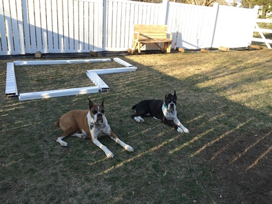 Silvrback blog image