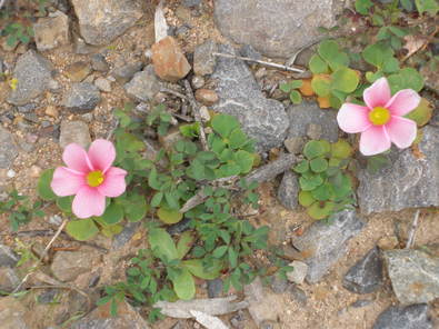 Silvrback blog image