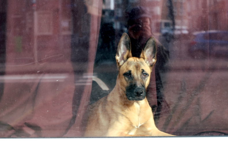 Silvrback blog image