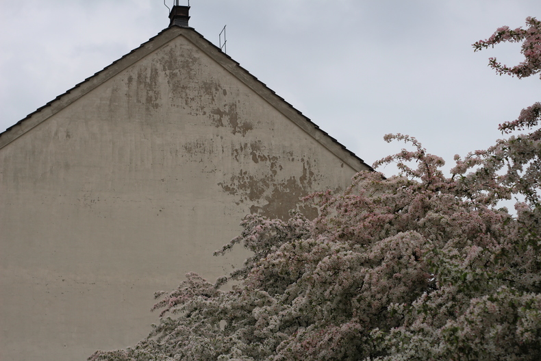 Silvrback blog image