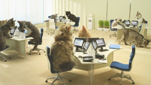 Silvrback blog image