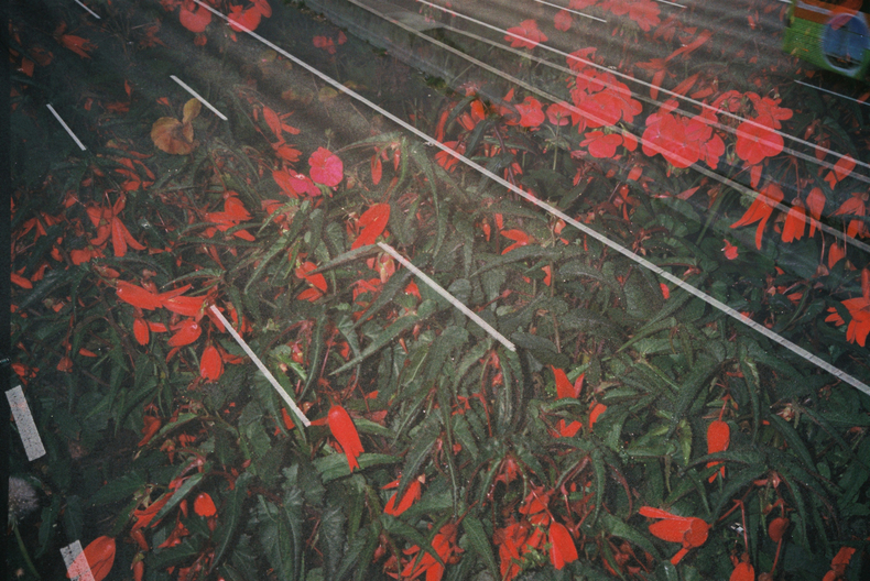 Silvrback blog image