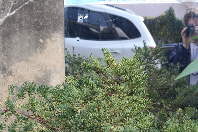 Silvrback blog image